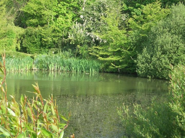 Presmere Pond